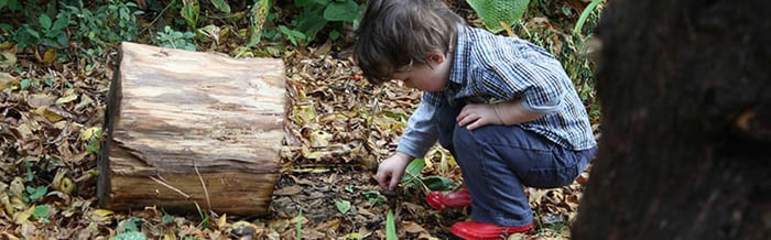 Unearthing Possibilities with fall's loose parts