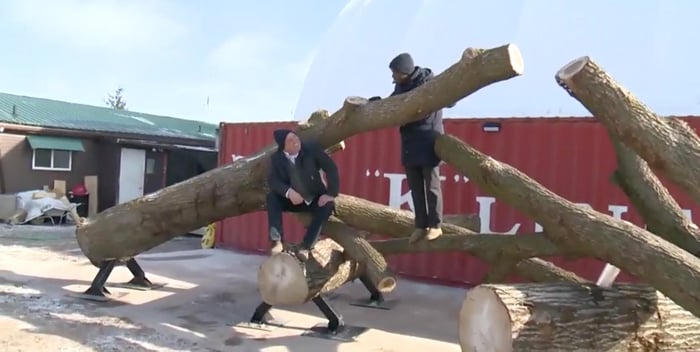 CTV News kitchener visits bienenstock HQ