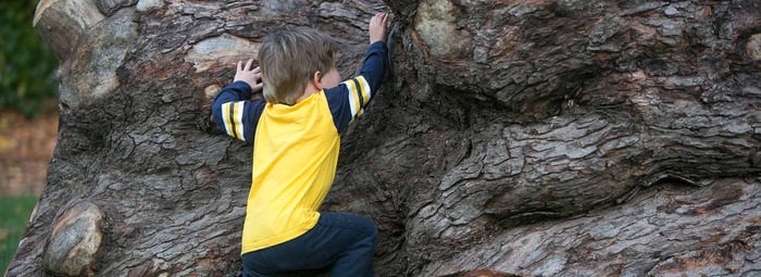 Risky Play does not mean hazardous play