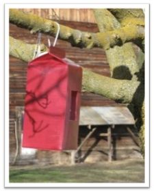 Milk Carton Bird Feeder